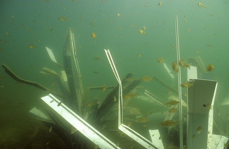 fishiding-structures with bass fry