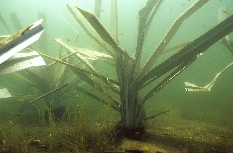fishiding-structures-fhs-139.800.jpg