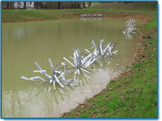 Fish structures installed in new lake