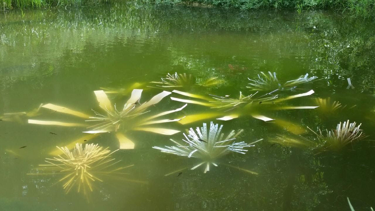 Cradle artificial shallow fry habitat