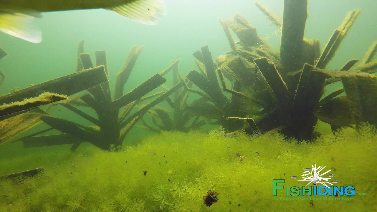 Safehouse Artificial Fish Habitat