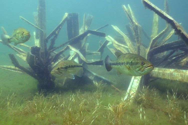 Keeper Artificial Fish Habitat Tree