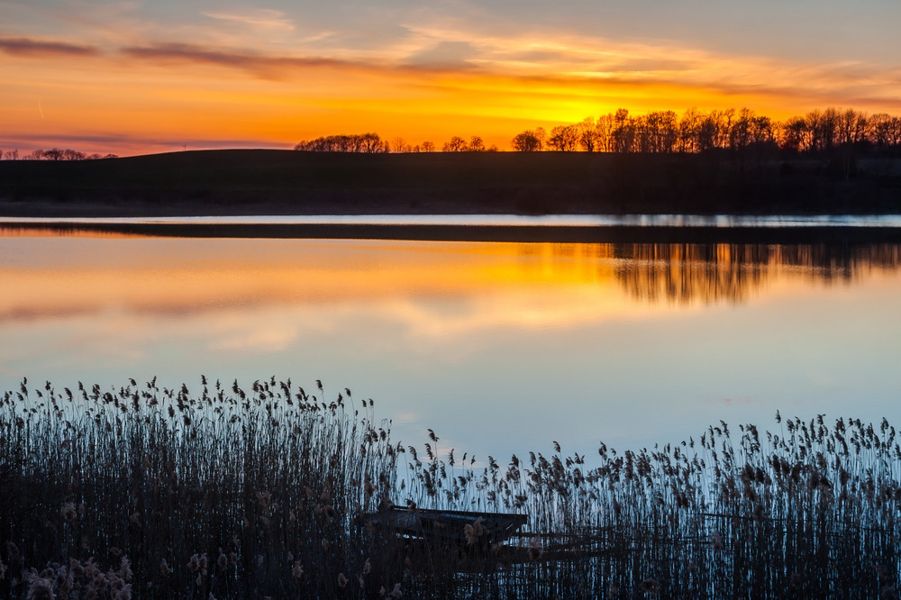 Crappie using vertical freshwater habitat and nearby cover
