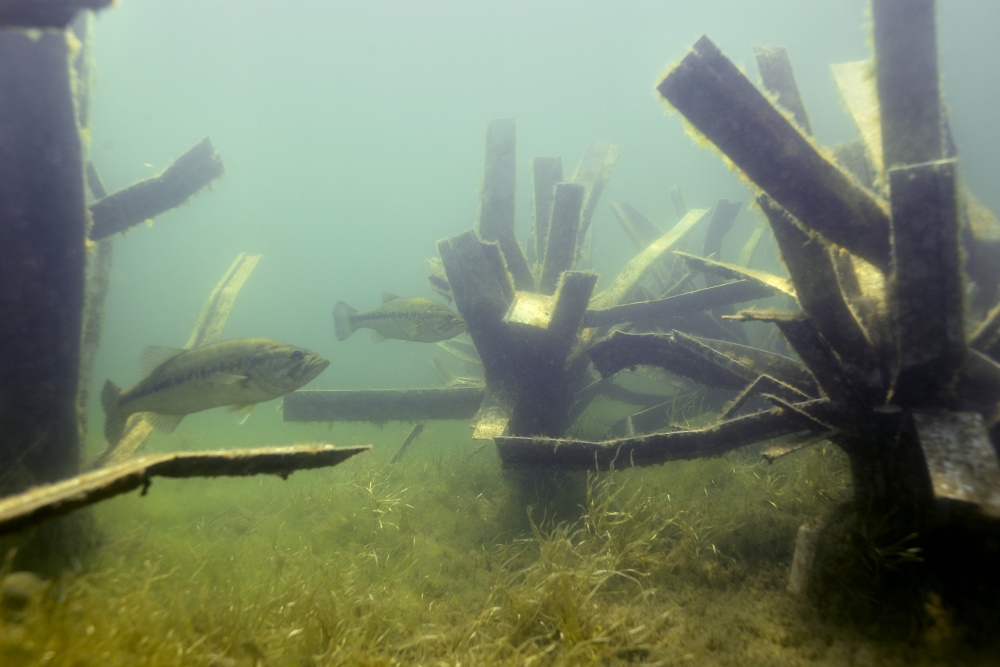 Fishiding Reclaimed Artificial fish habitat