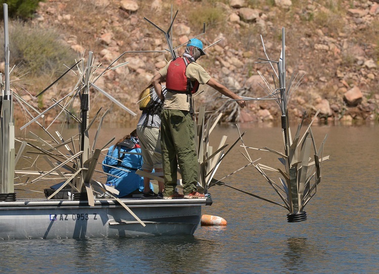 HighRise Habitat drops in Roosevelt Lake