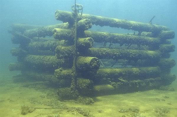 Artificial fish habitat or fish attractors, which do the fish need