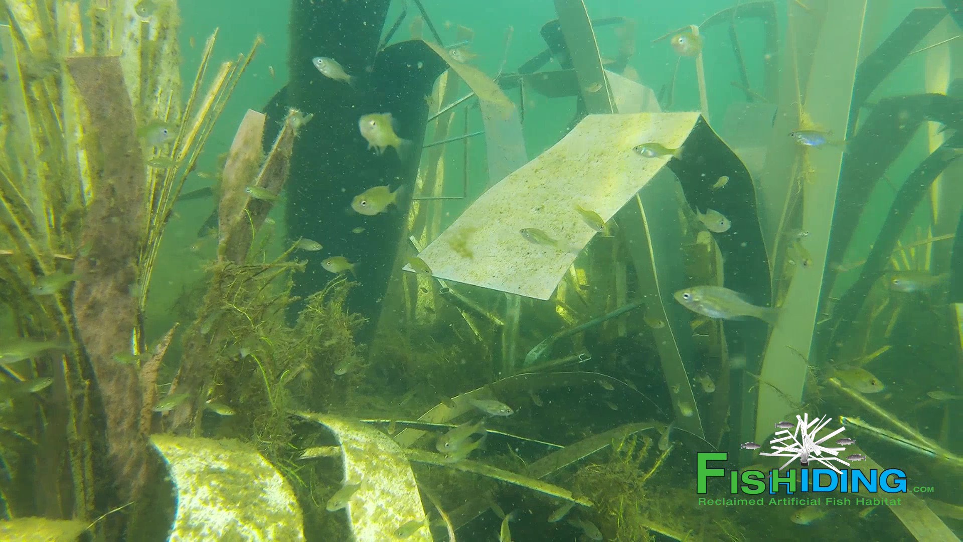 Fish Hiding Spot in artificial fish habitat