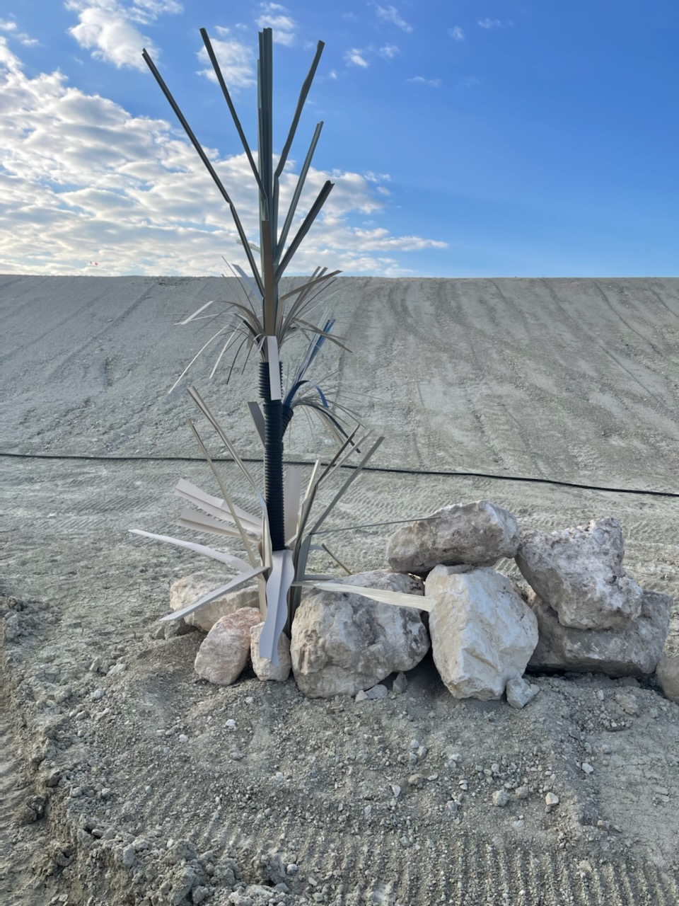 Trophy tree highrise habitat