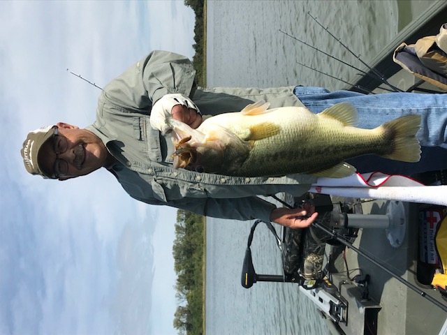 Good cover grows more fish