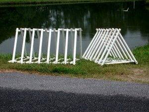 New Fish Attractor