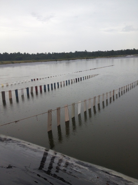 Shrimp farming with fishiding artificial fish habitat